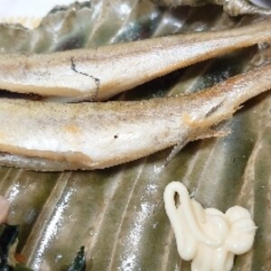 おつまみにバッチリ 丸干しこまいのグリル焼き レシピ 作り方 By 2727椿 楽天レシピ おつまみにバッチリ 丸干しこまいのグリル焼き レシピ 作り方 By 2727椿 楽天レシピ